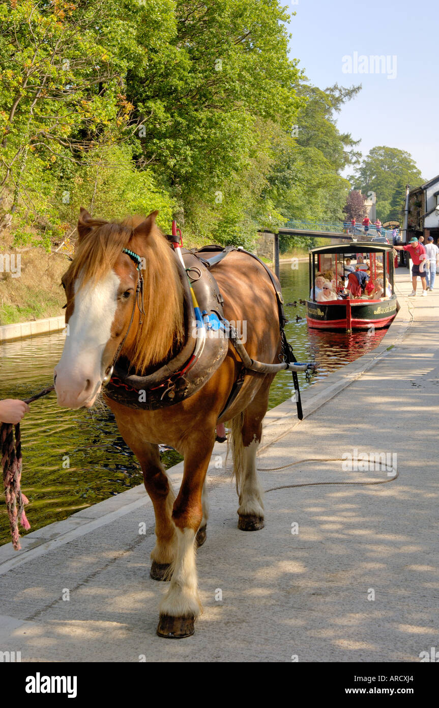 Horses pulling boat hires stock photography and images Alamy