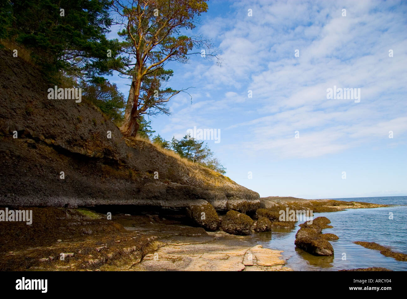 Denman Island Beach Stock Photo Alamy