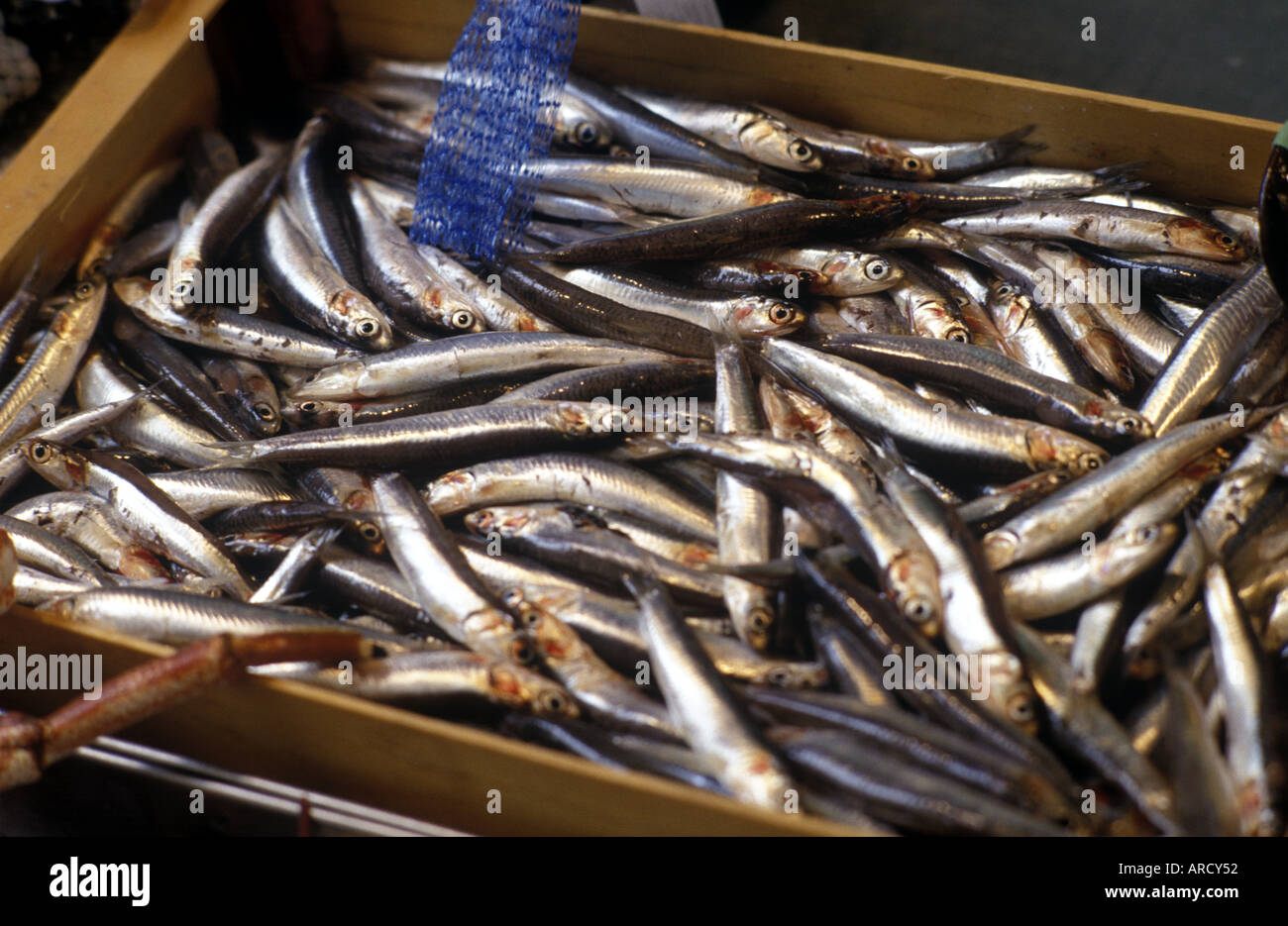 a box of sardines Stock Photo Alamy