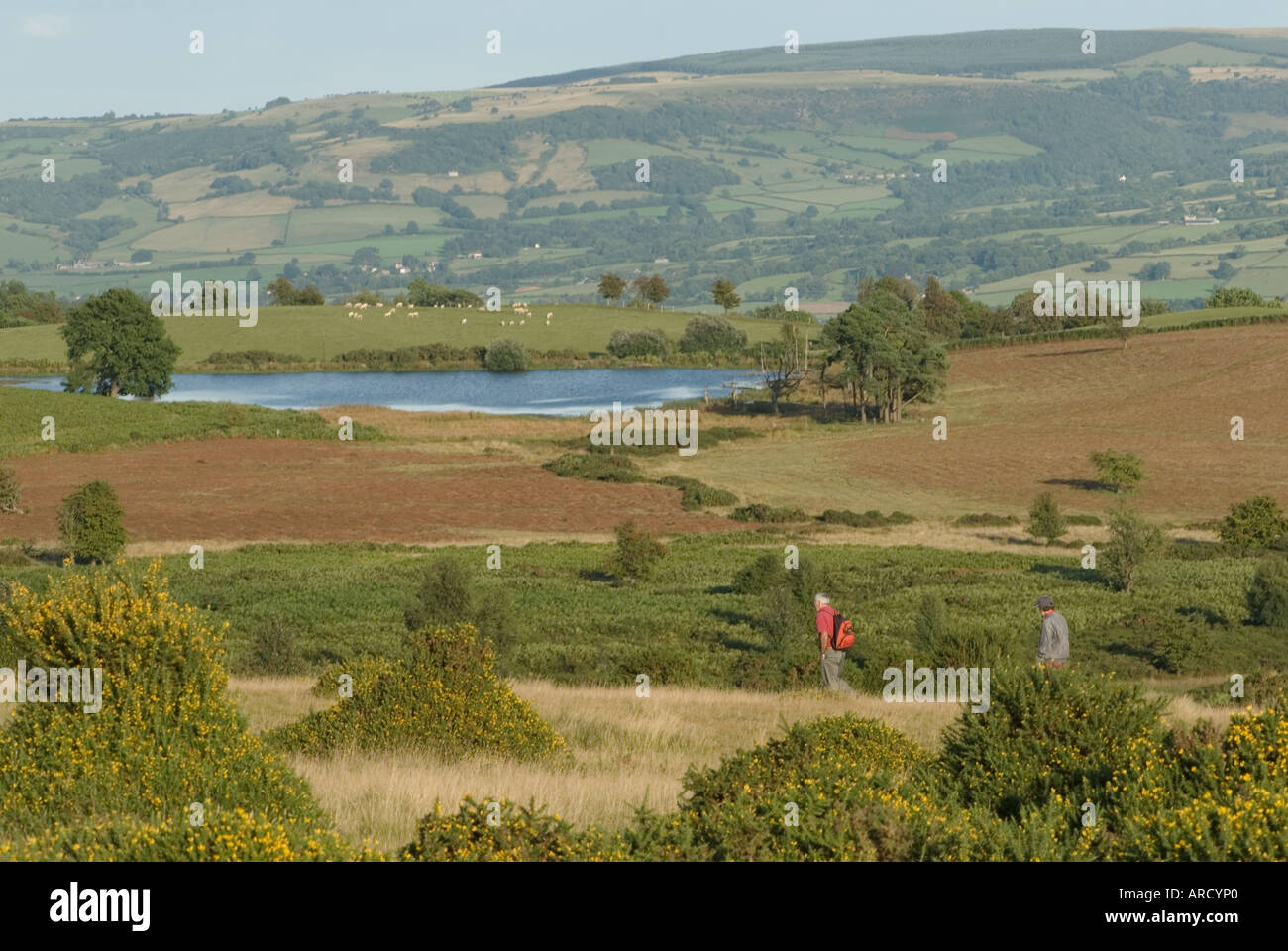 Walkers On The Begwyns Near Llowes Brecon Beacons Mid Wales Stock Photo Alamy