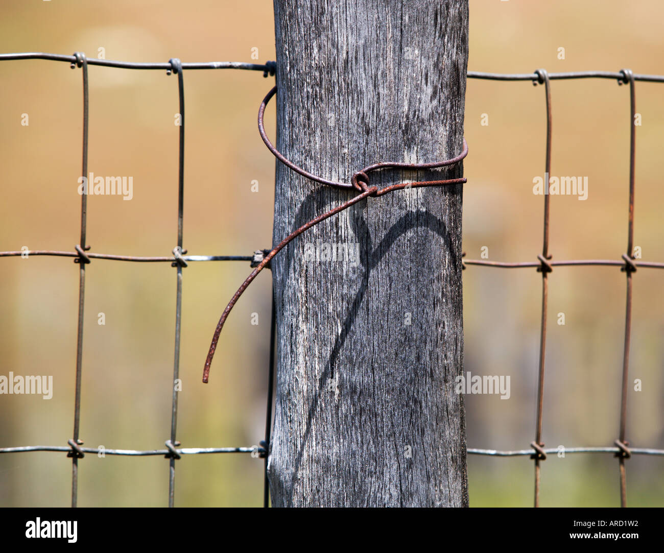 wrapped wire fencing