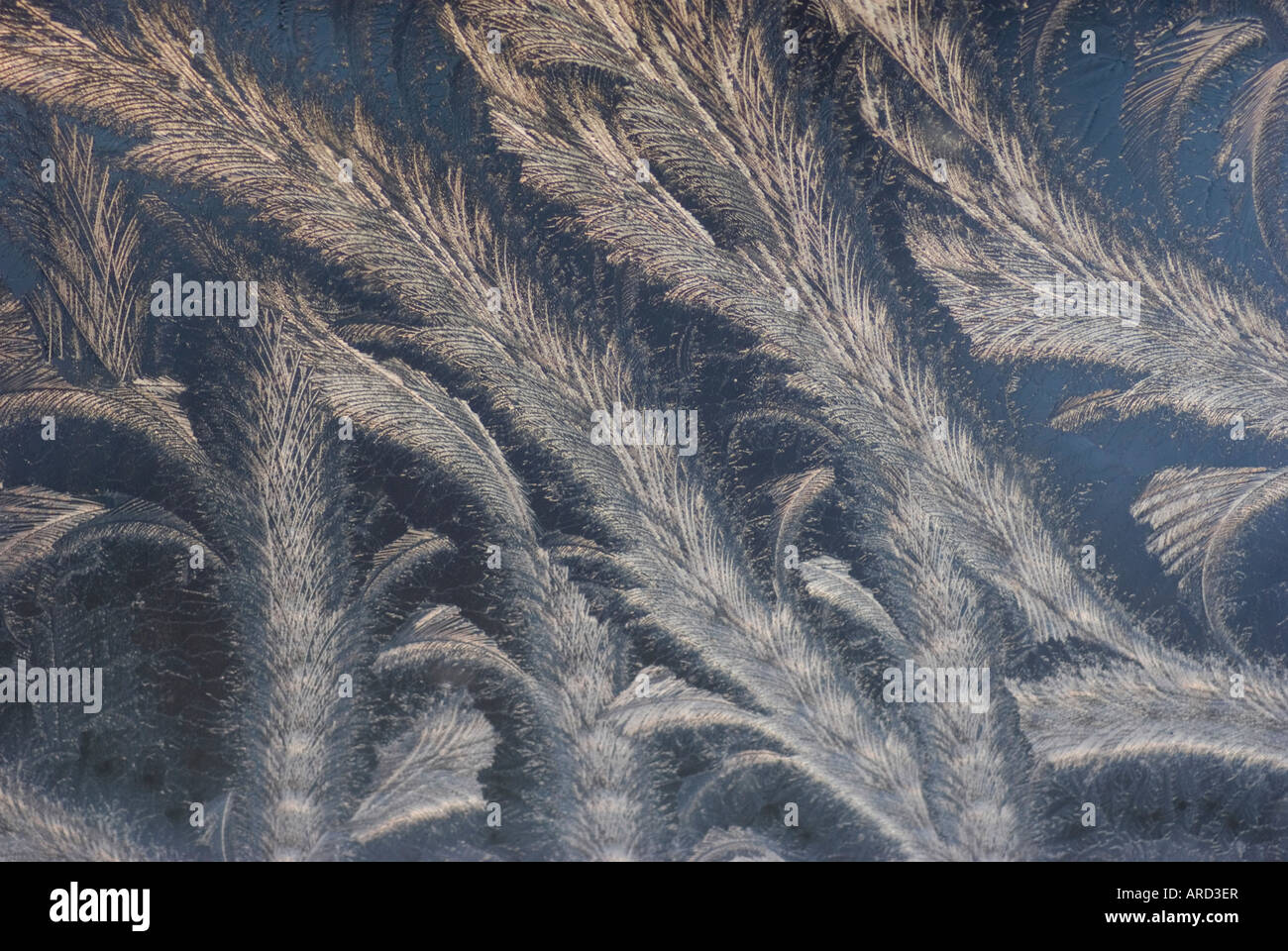 Frost pattern of ice crystals on window shot from inside at sunrise ...