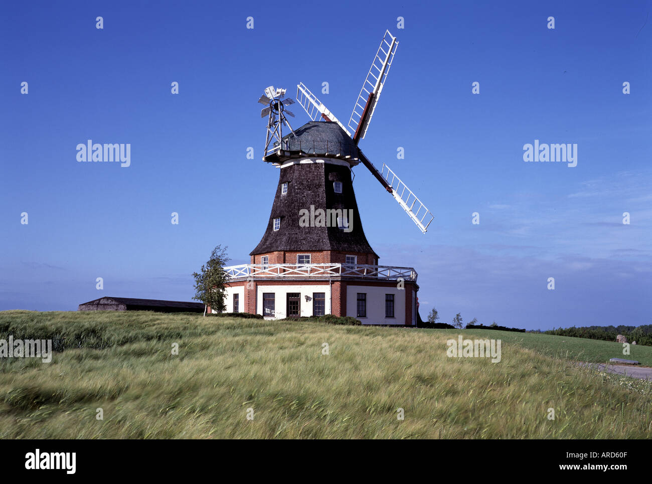 Klütz, Windmühle, Stock Photo