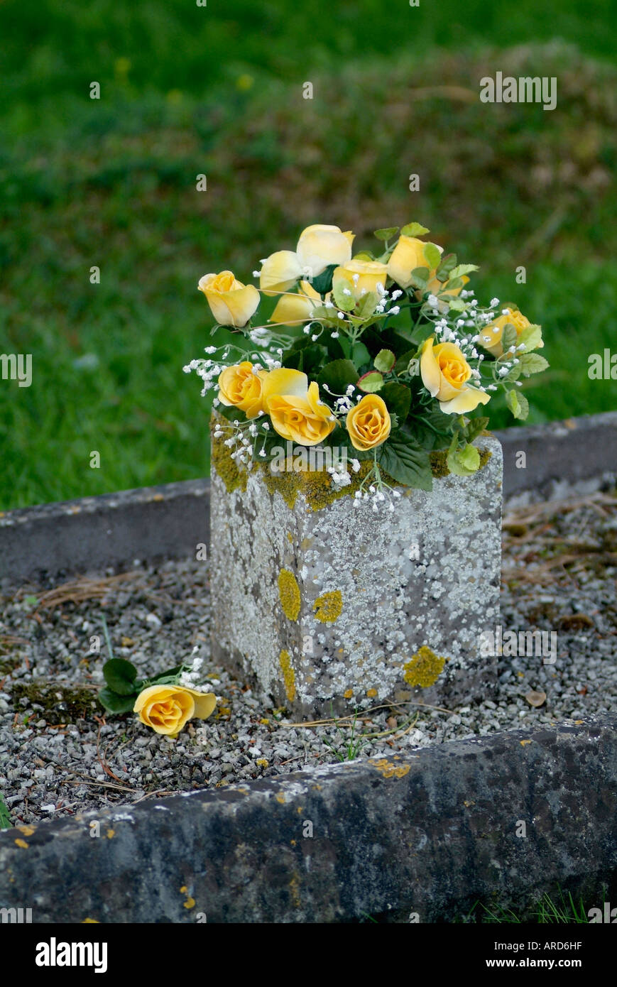 flowers on grave Stock Photo Alamy