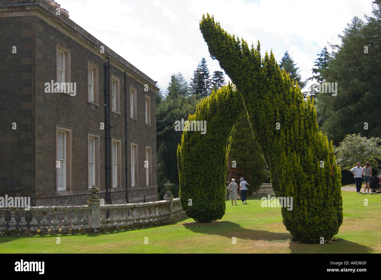 At Bowhill House seat of the Duke of Buccleuch near Selkirk in the Scottish Borders UK unusual trees Stock Photo