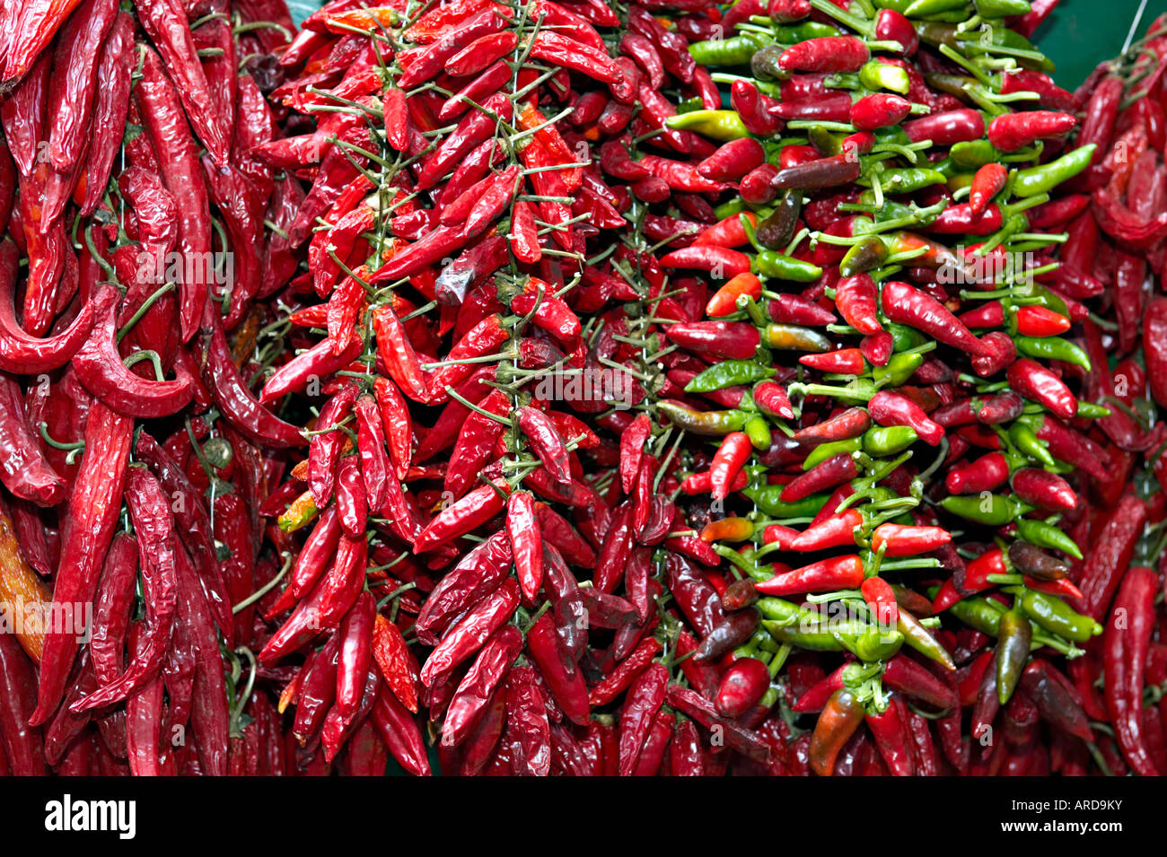 Chilli peppers on display on a street stall in Amalfi, Italy Stock Photo