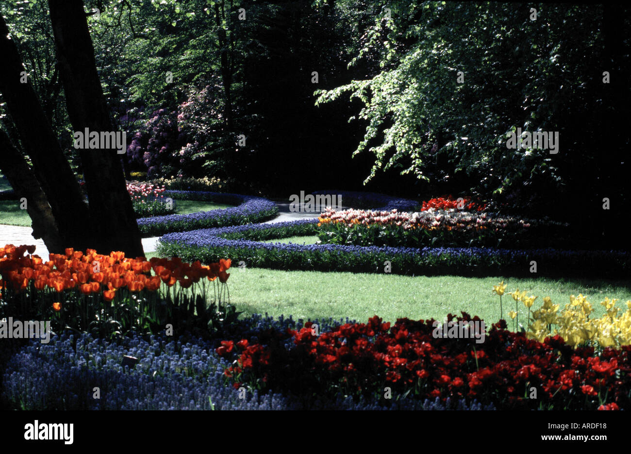 Leiden, Keukenkof, Blumenpark Stock Photo