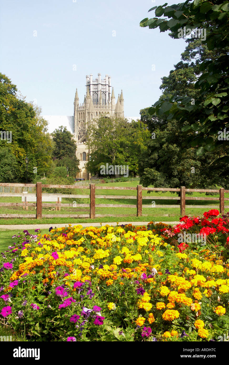 The Octagonal Lantern, Ely Cathedral, viewed from The Meadow, Ely, Cambridgeshire, England Stock Photo