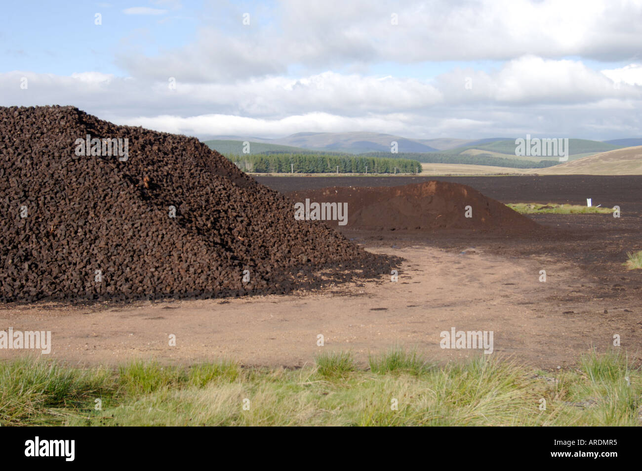 Peat forms when plant material hires stock photography and images Alamy