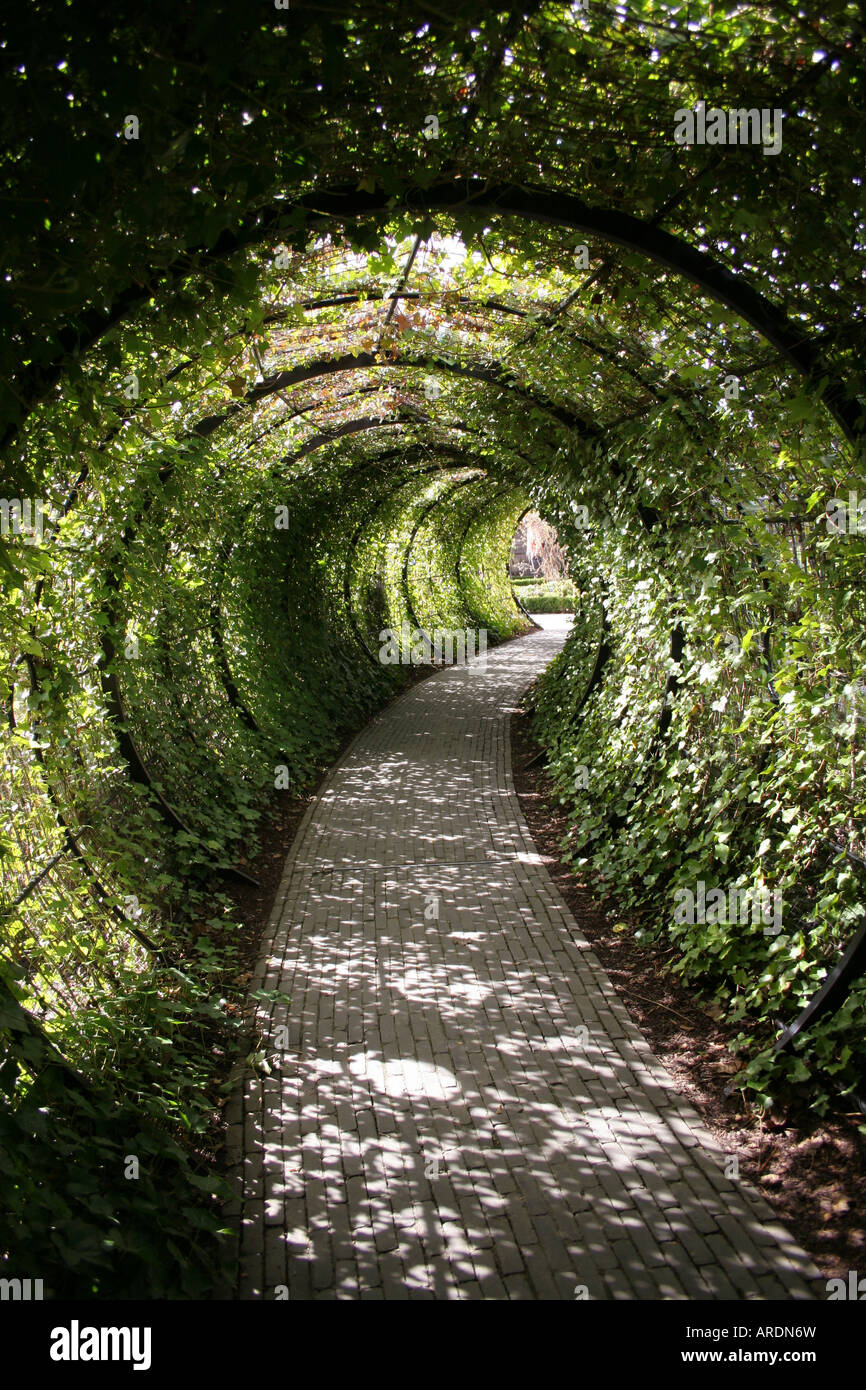 Alnwick Castle Garden, Poison Garden, Green Tunnel Stock Photo