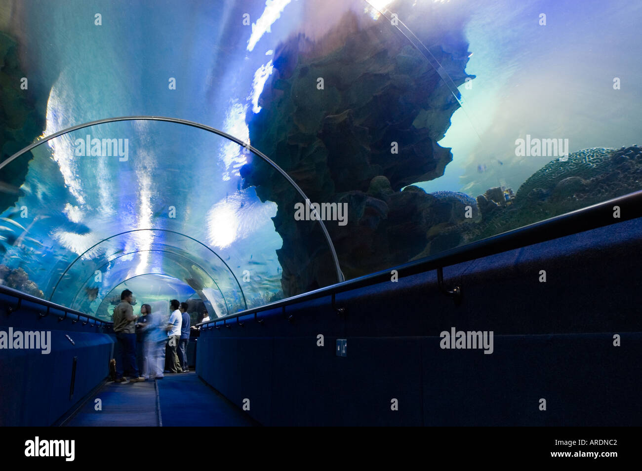 Blue water sparkles over the undersea walkway of the Kuala Lumpur Aquarium also known as the KLCC Aquaria Stock Photo