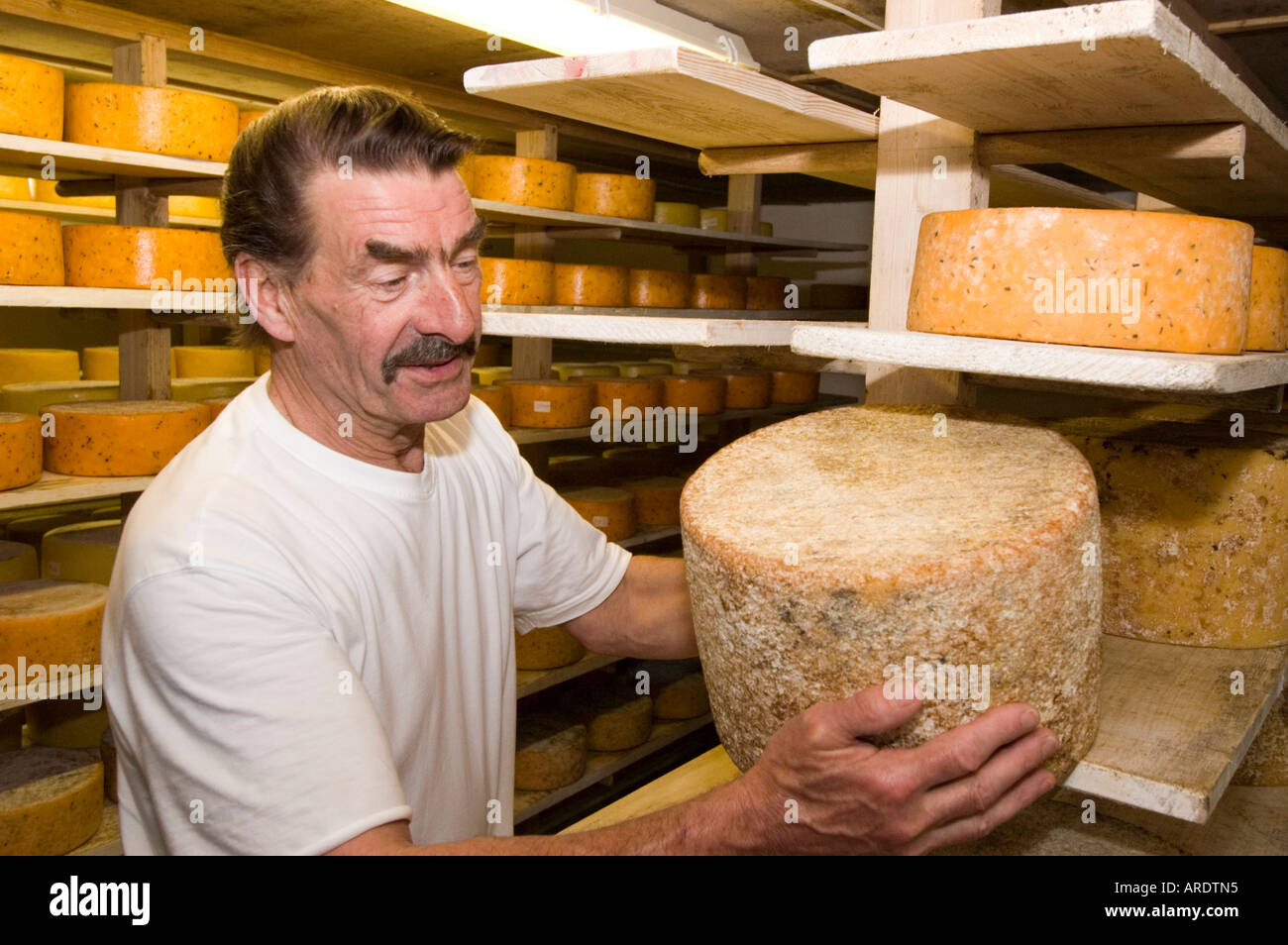 Leon Downey Farmhouse Cheese Maker at Llangloffan Pembrokeshire Wales