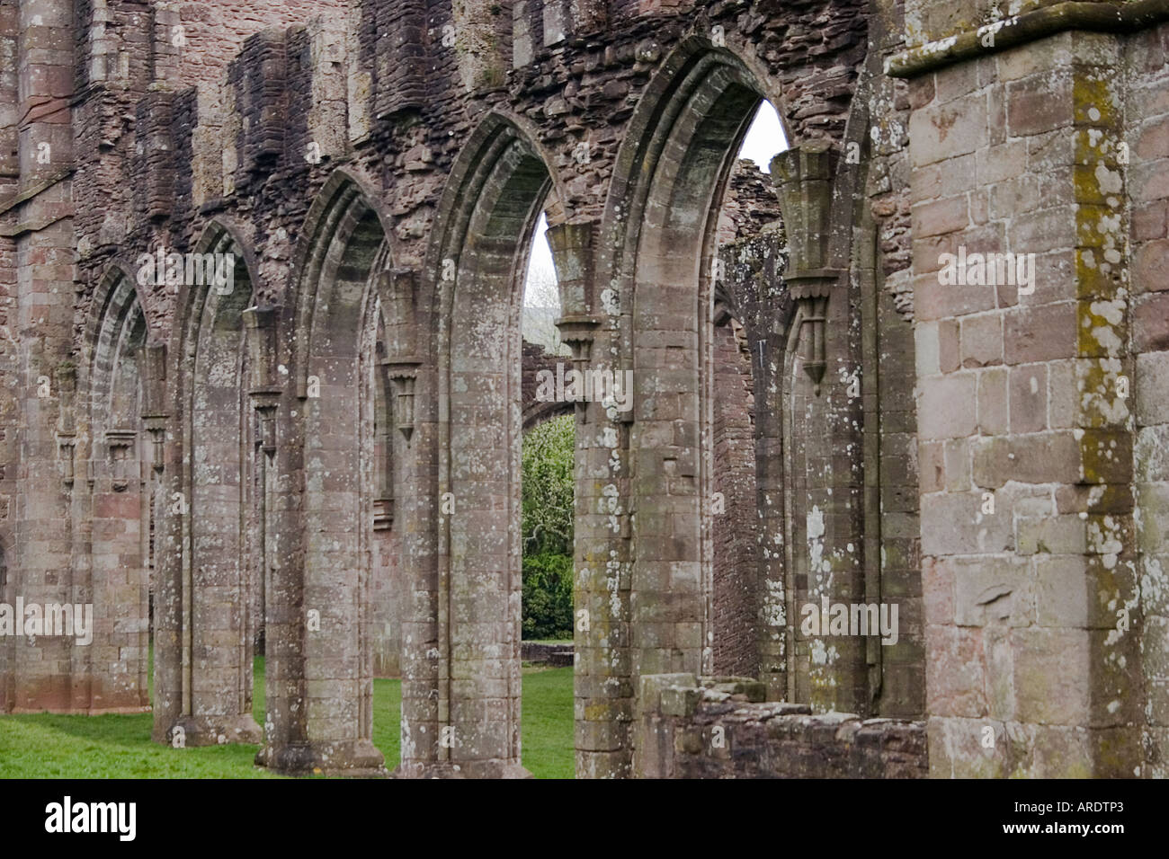 Arches leading into the nave of the ruined 13C Llanthony Abbey in the Honddu Valley Black Mountains SE Wales Stock Photo