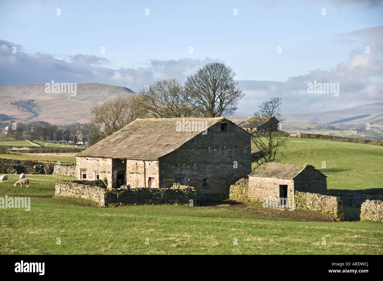 Field barn at Burtersett, near Hawes, Yorkshire Dales National Park Stock Photo