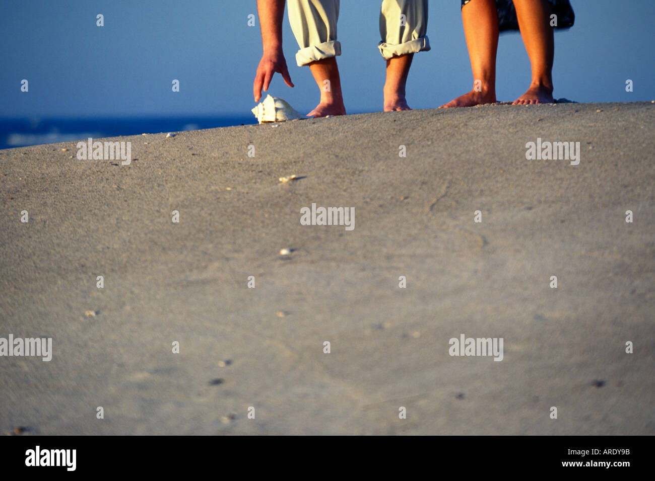 beachcombing Stock Photo