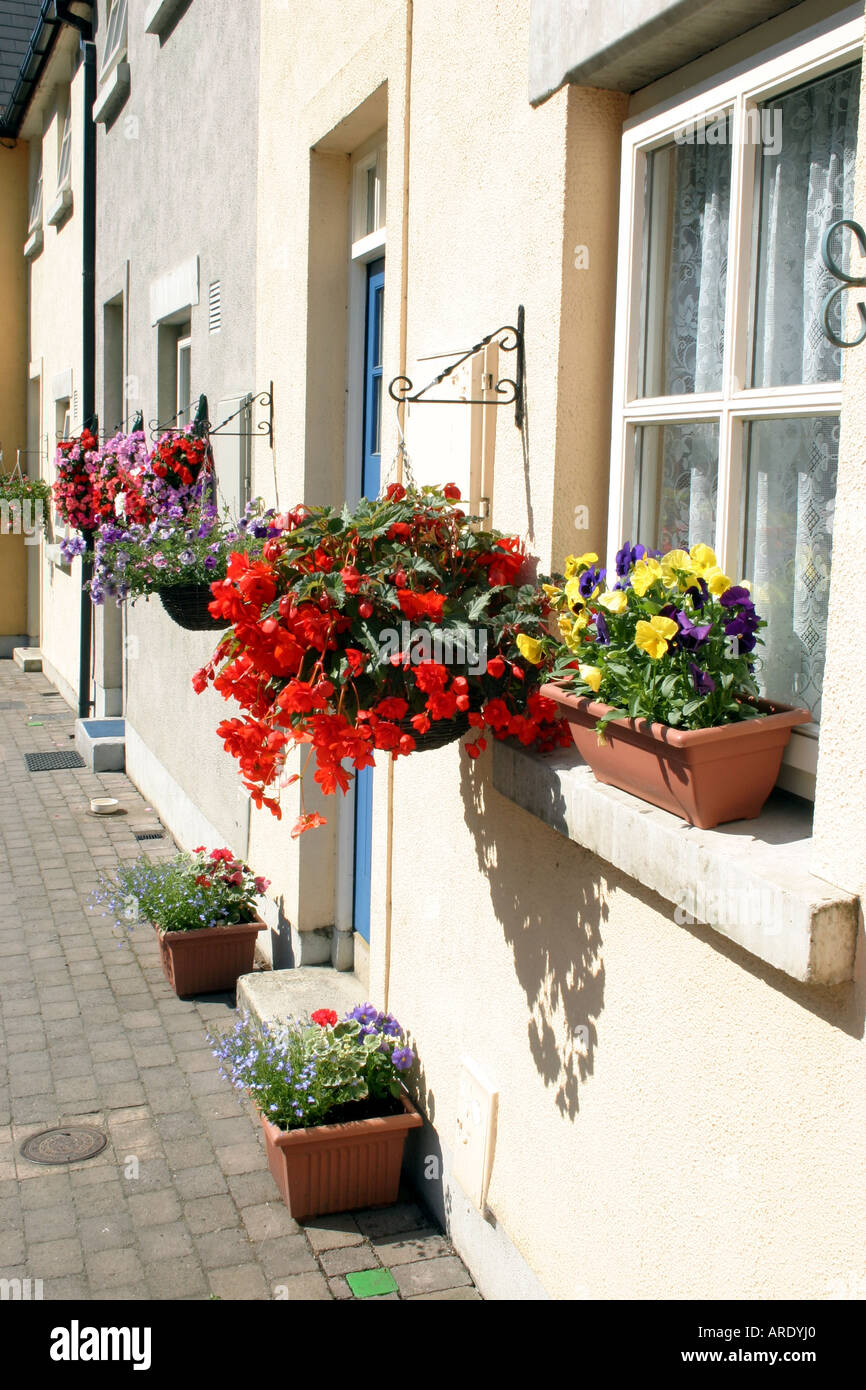 pretty cottages in the village of Avoca, County Wicklow, Republic or