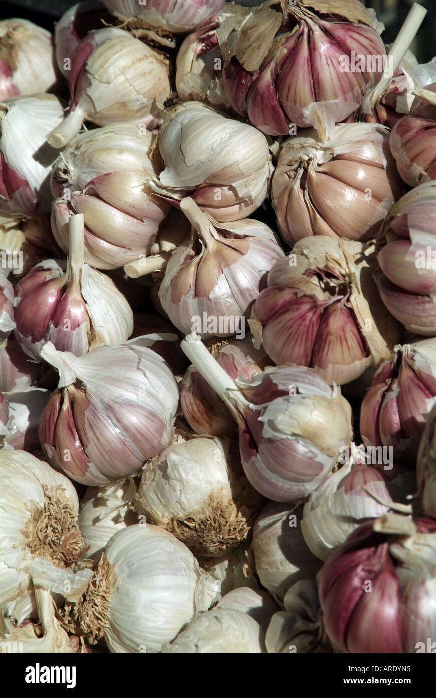 garlic, clove, flavour, french, cooking, european, flavour, flavouring