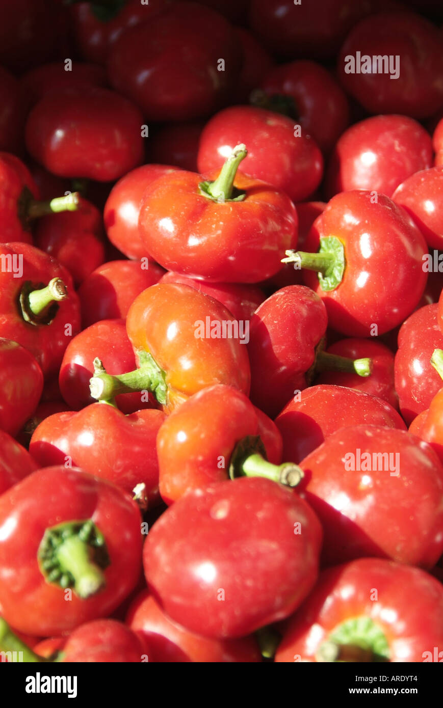 bright, red, shade, of, colour, color, colorful, colourful, Stock Photo