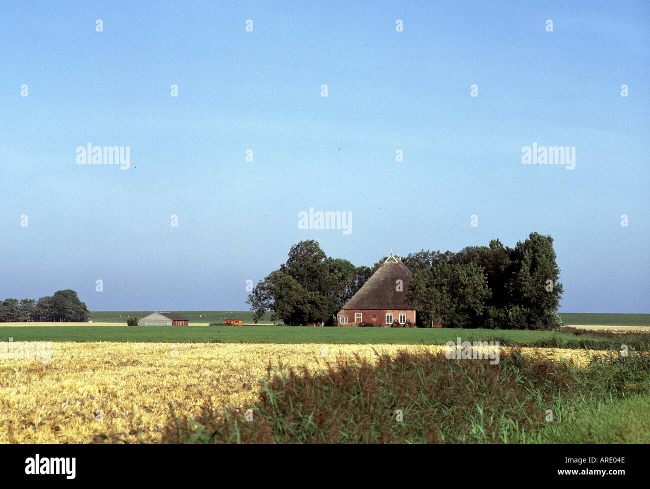 Hogebeintum, Friesischer Bauernhof, Stock Photo