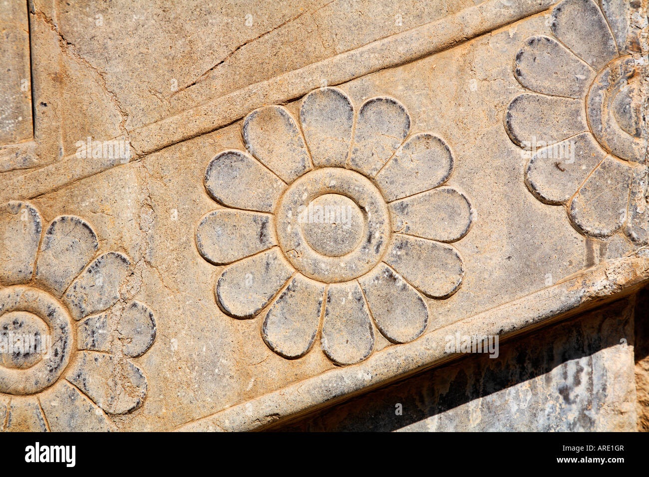 Flower motif carving bas relief at Persepolis Iran Stock Photo - Alamy