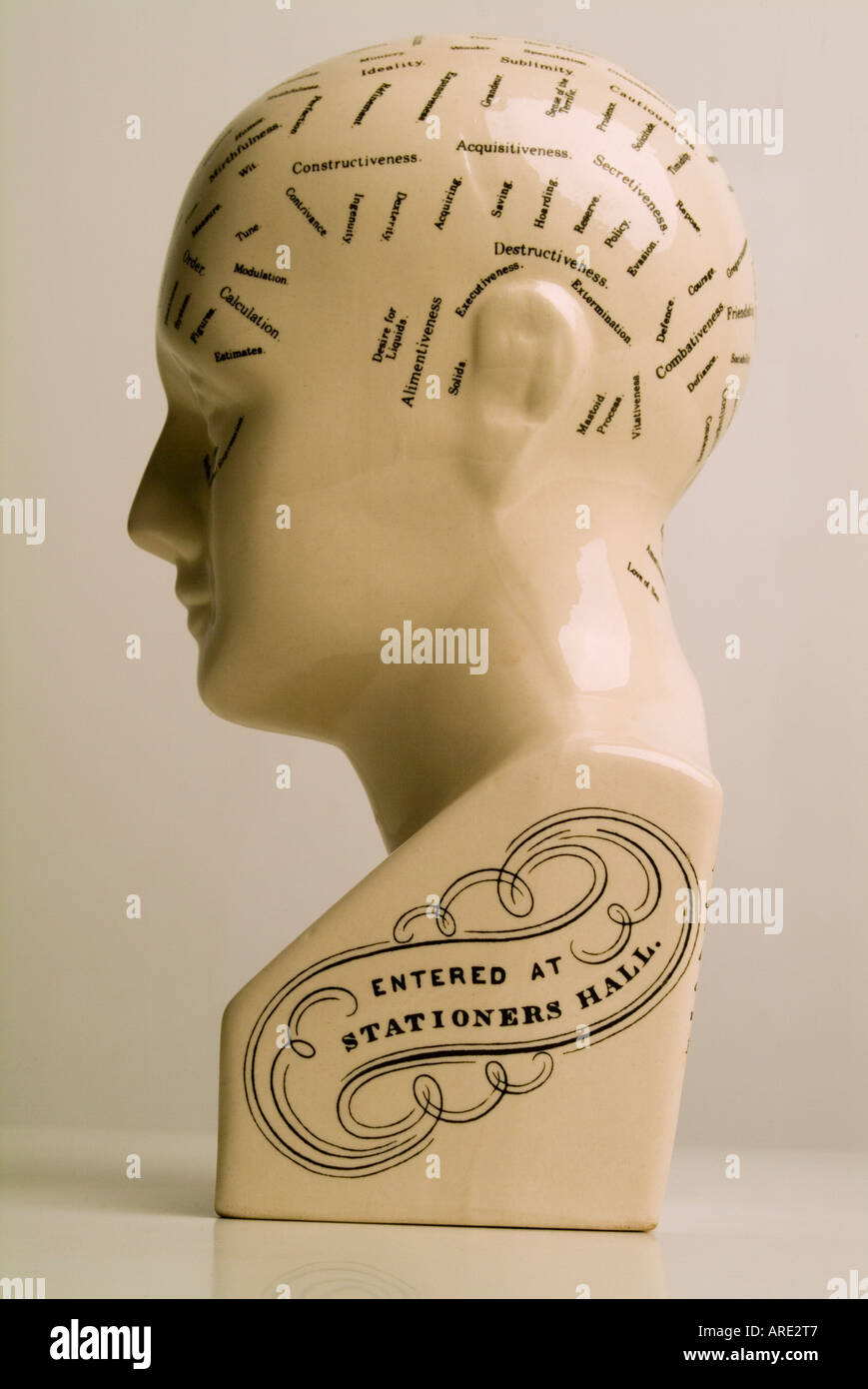 Phrenology head displaying human characteristics Stock Photo