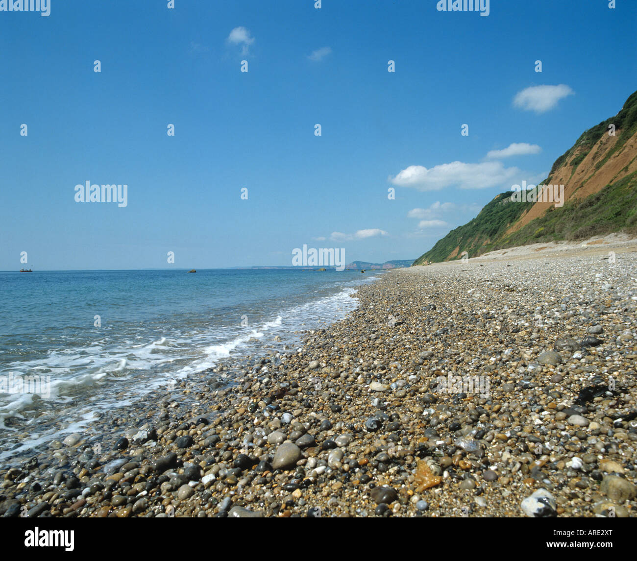 Shoreline of the pebble beach at Branscombe with high sandstone cliffs Stock Photo