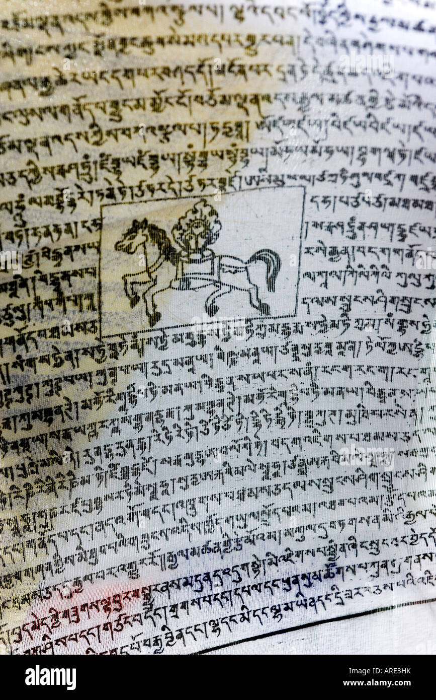 Detail of a bhutanese lungdhar (prayer flag) printed with the Wind Horse or Lungta, which carries a wish-fulfilling jewel Stock Photo