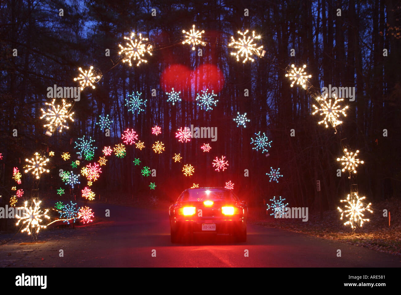 Virginia Newport News Park,recreation,land use,nature,natural,scenery,countryside,ecology,Celebration in Lights,Christmas drive through display sale m Stock Photo