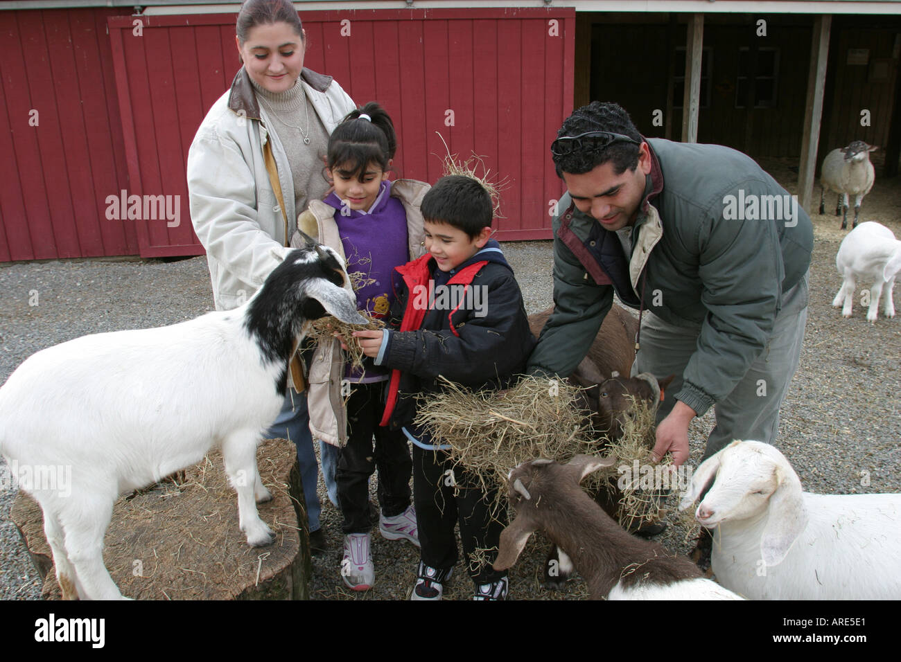 Newport News Virginia,SPCA Petting Zoo,VA 121303 0079 Stock Photo Alamy
