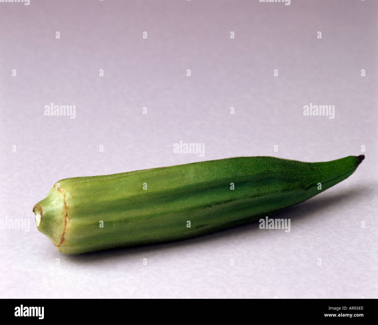 Okra ladies fingers Stock Photo