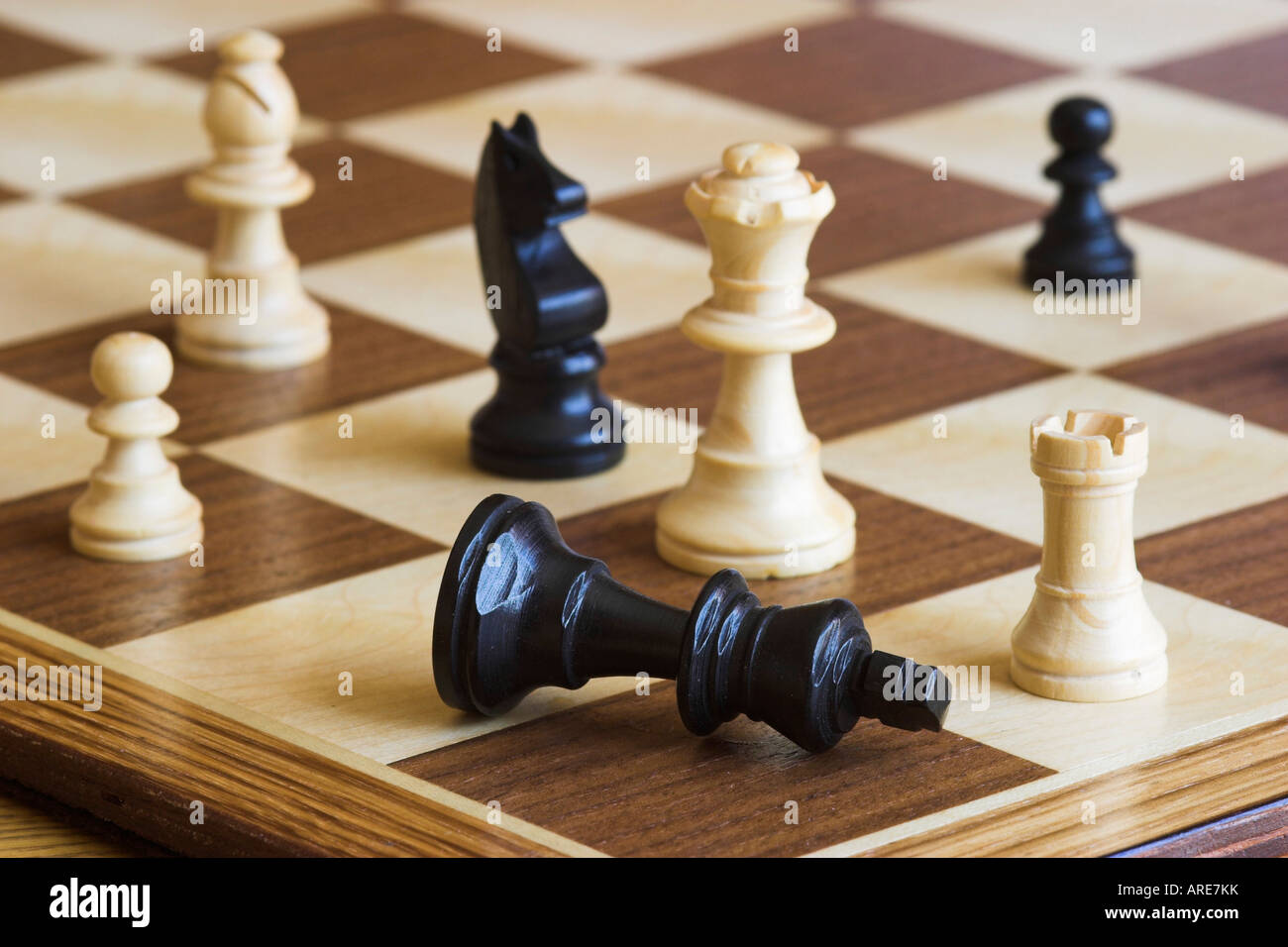 Two King chess pieces on a chessboard with the light king lying on its side  at the foot of the victorious dark wood King Stock Photo - Alamy