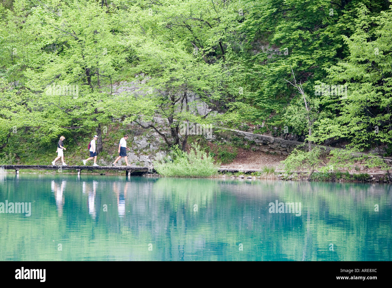 People Walking through Plitvice National Park Croatia Stock Photo