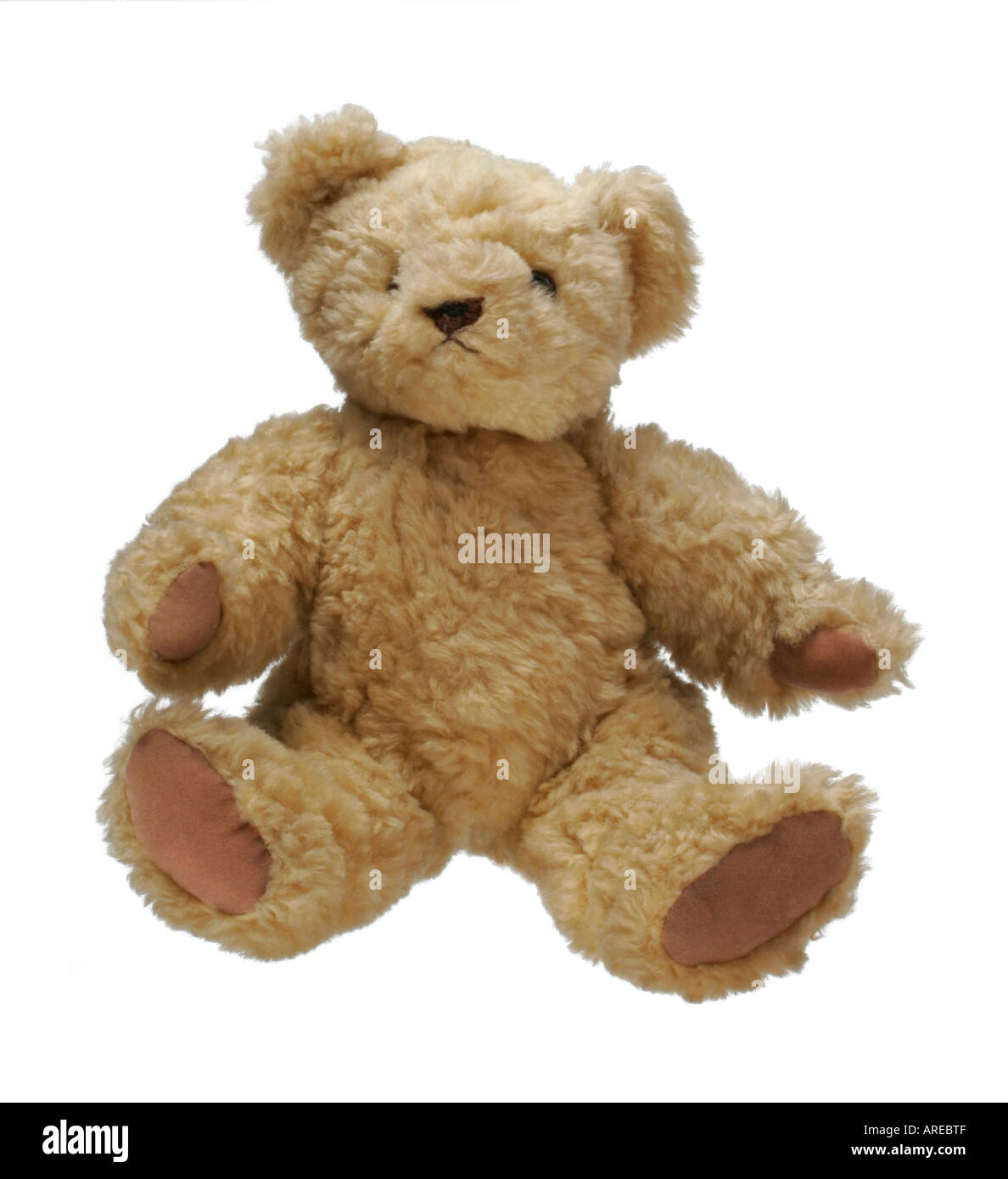 Teddy bear isolated on white background Stock Photo
