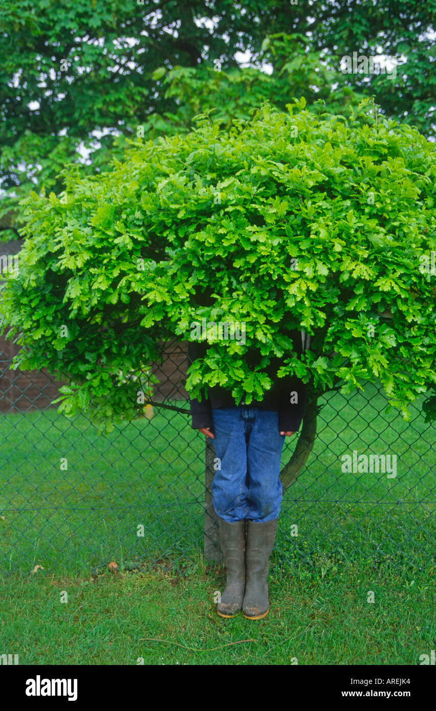 Boy with a bush in place of his head Stock Photo - Alamy