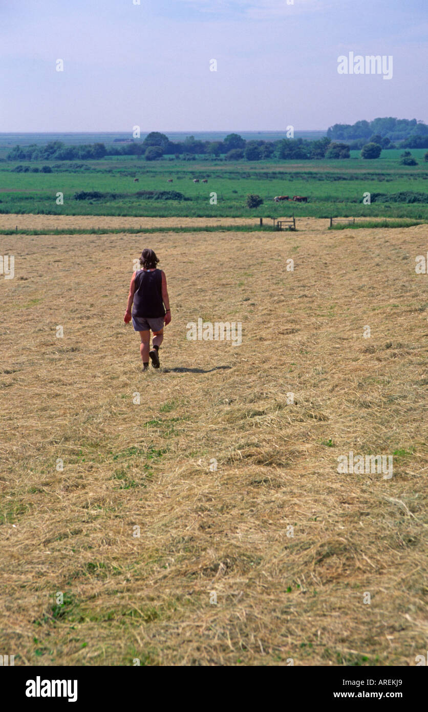 Woman walking field blue sky hi-res stock photography and images - Alamy