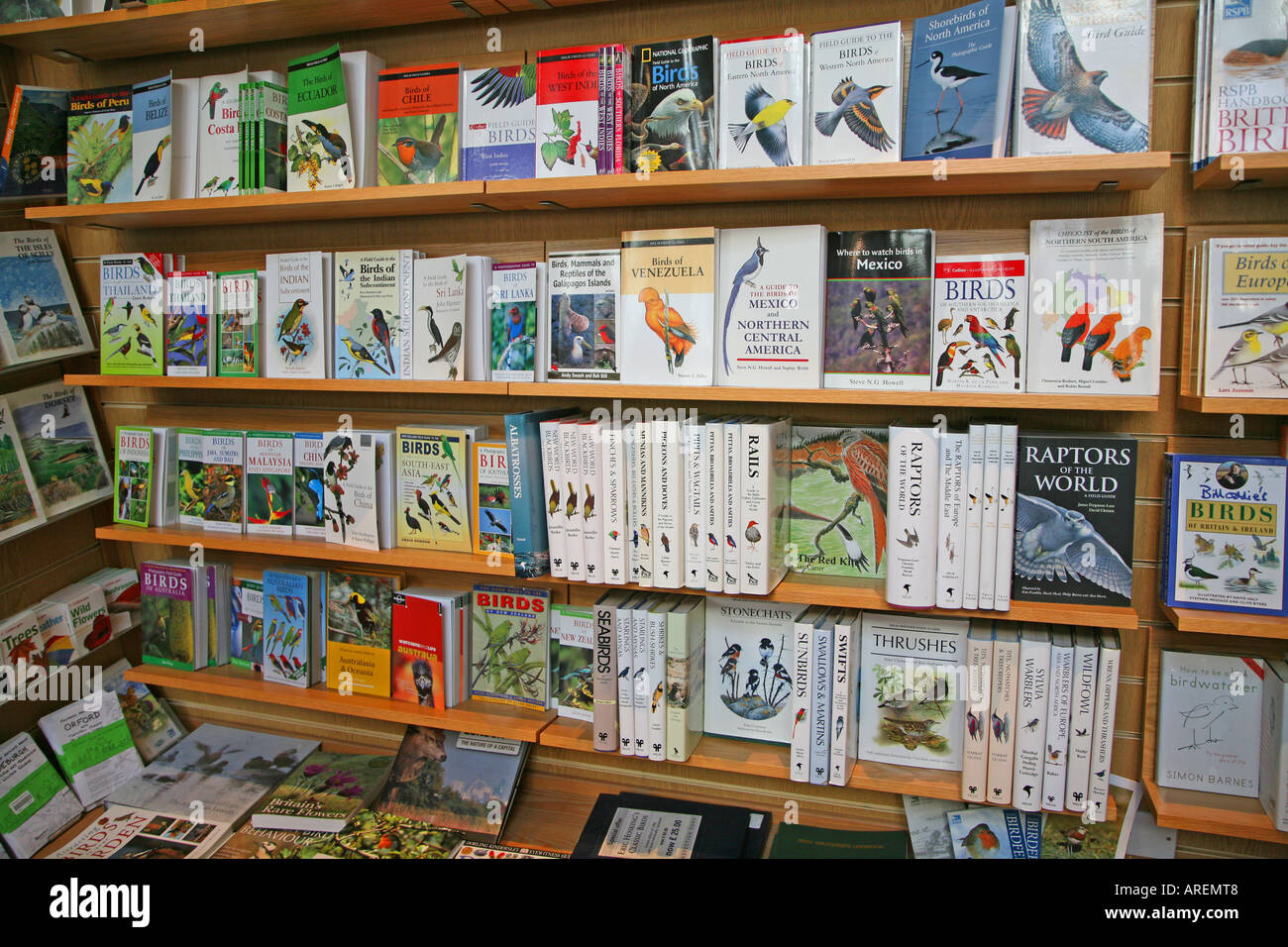 Bird books on shelves RSPB shop Minsmere bird reserve Suffolk England Stock Photo Alamy