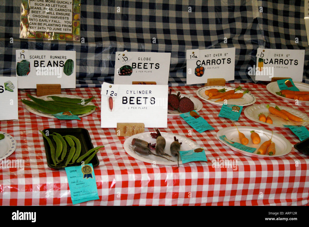 Coombs country fair vegetable competition, Vancouver Island, British Columbia Stock Photo