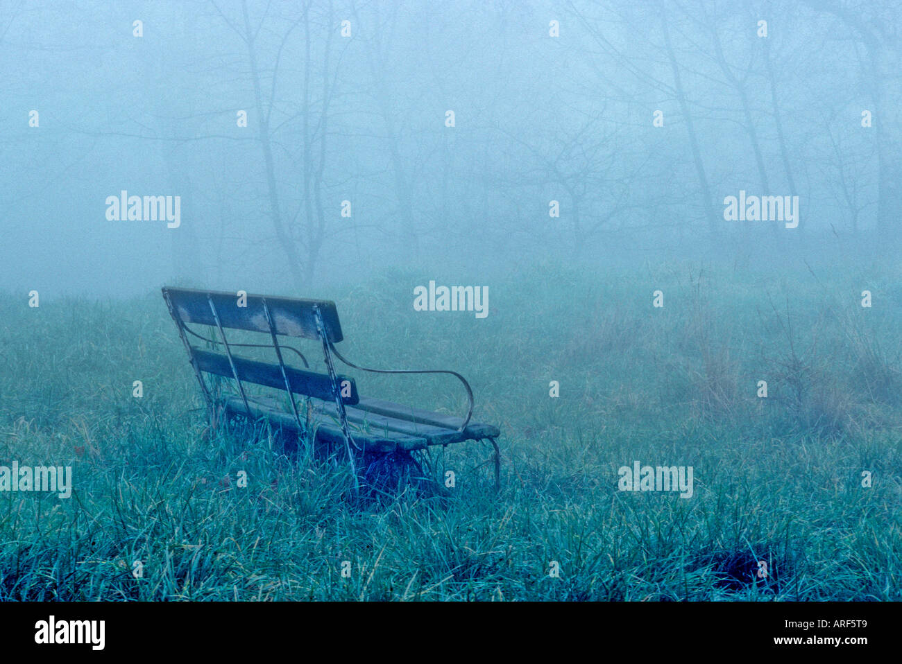 Lone Bench in Fog, London, England Stock Photo