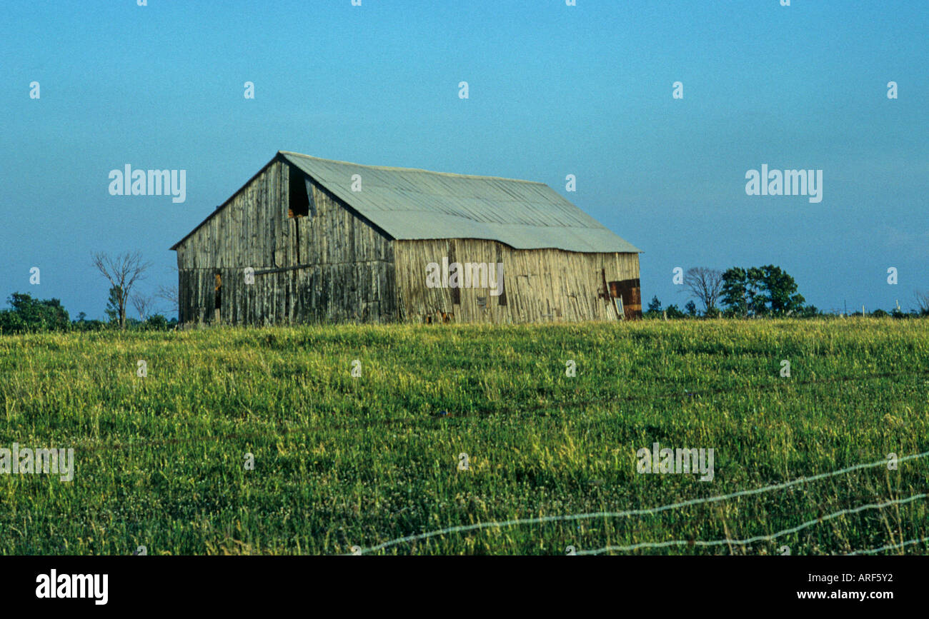 Barn and Blue Sky, Ontario, Canada Stock Photo