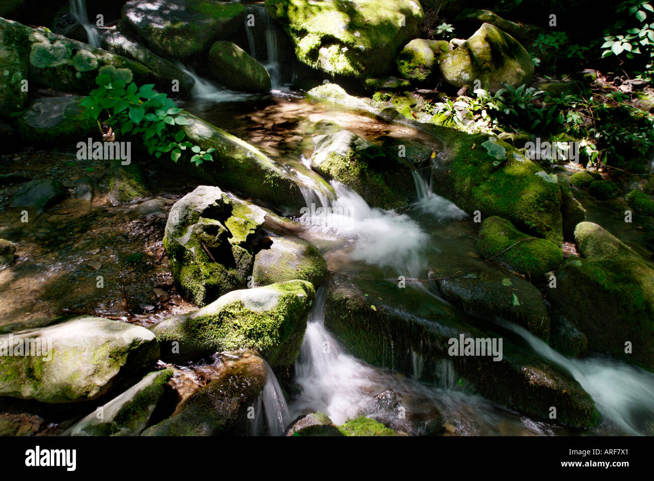 Water Spring Running Through Rocks Water dripping down rocks hi-res stock photography and images - Alamy