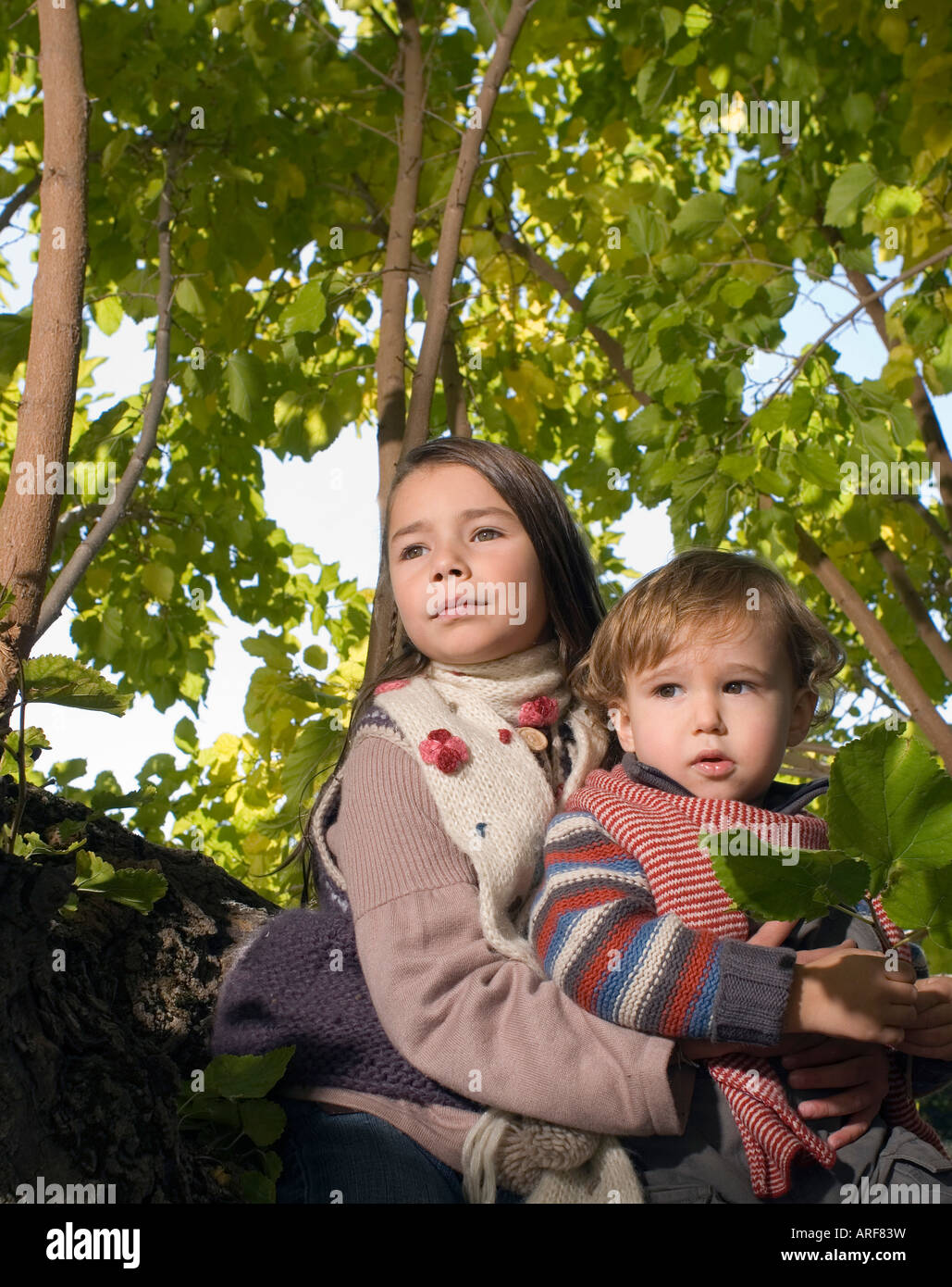 Girl holding boy in a tree Stock Photo Alamy