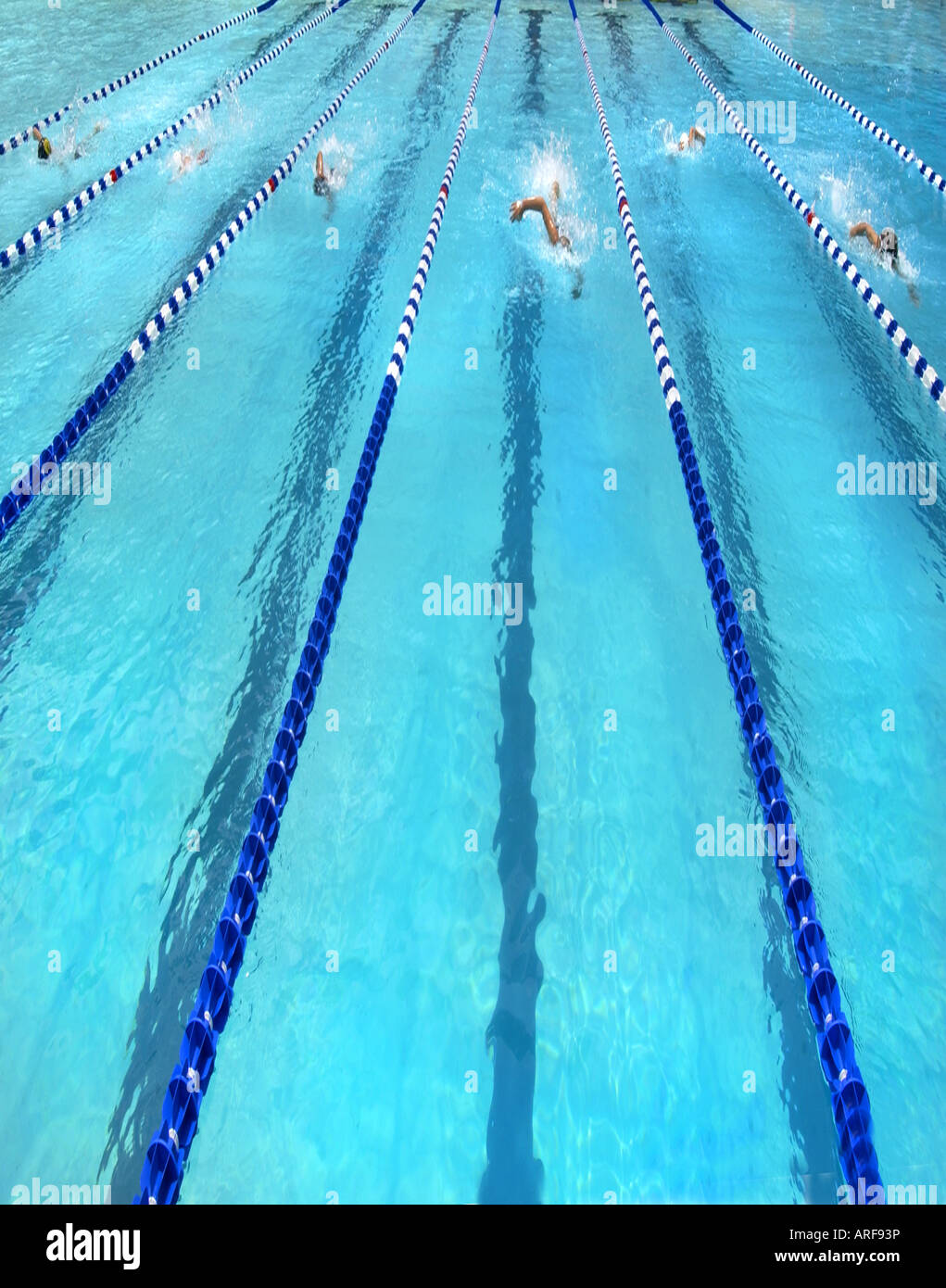 swimming race or match indoor showing showing three swimmers Stock
