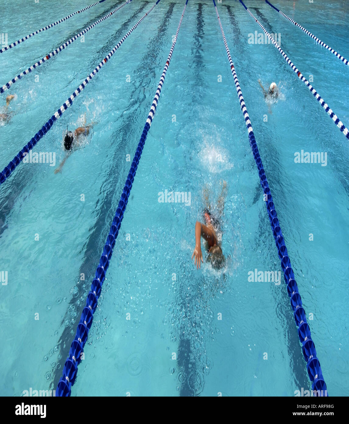 swimming race or match indoor showing showing three swimmers Stock Photo