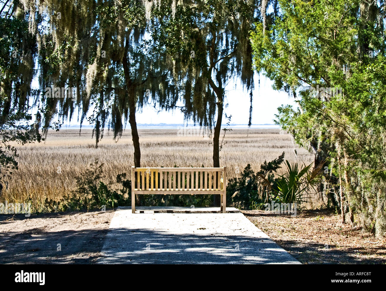 Bench overlooking a tranquil marsh Stock Photo