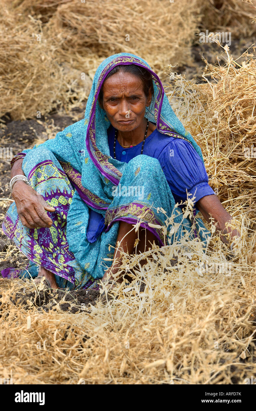 Indian woman working in the fields Stock Photo - Alamy