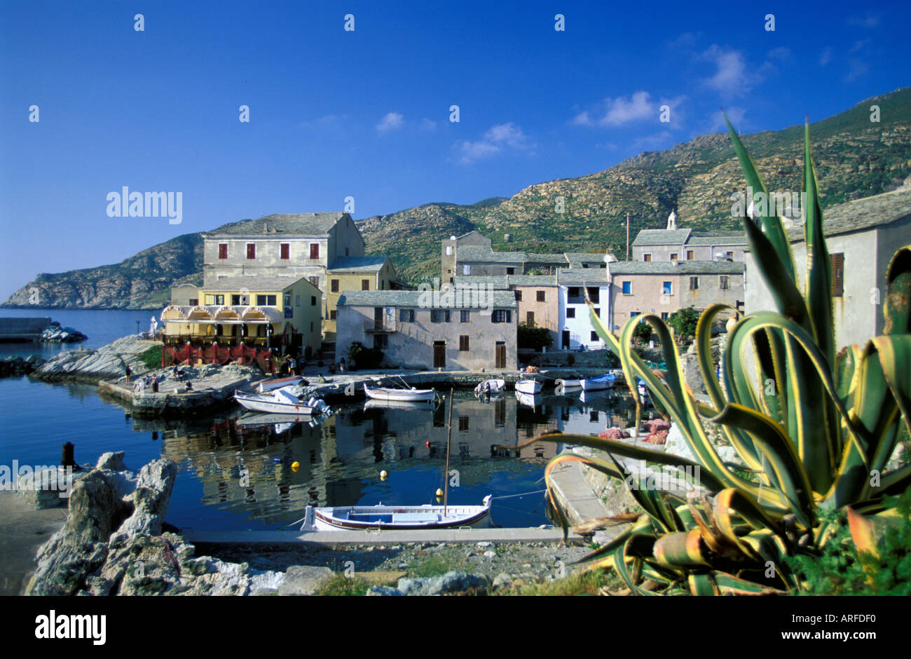 Centuri Harbour, Corsica, France Stock Photo
