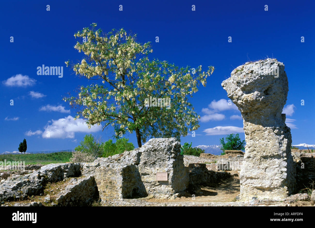 Corsica France Stock Photo