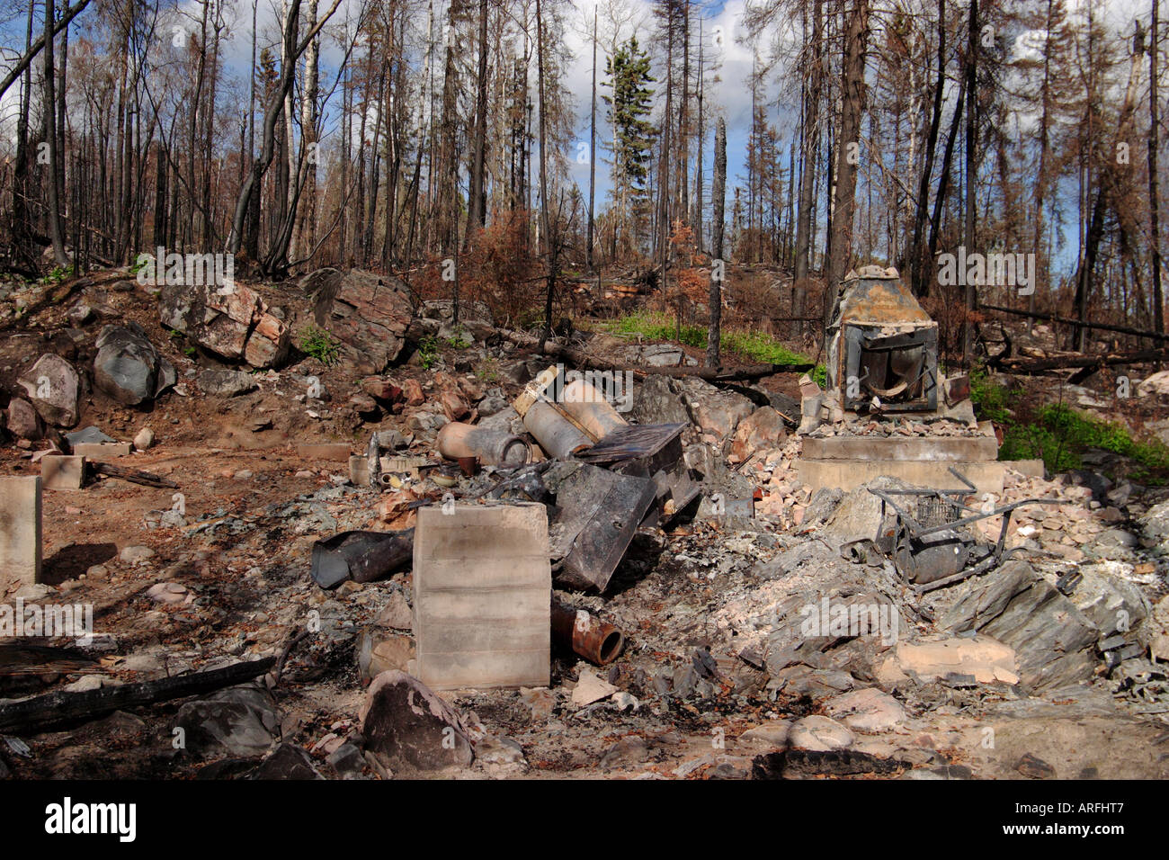 Forest fire damage Stock Photo Alamy