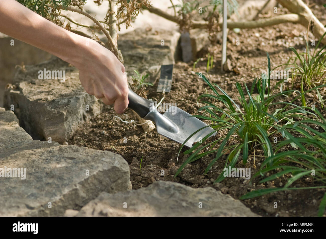 Female hand close up shoveling garden soil Stock Photo Alamy
