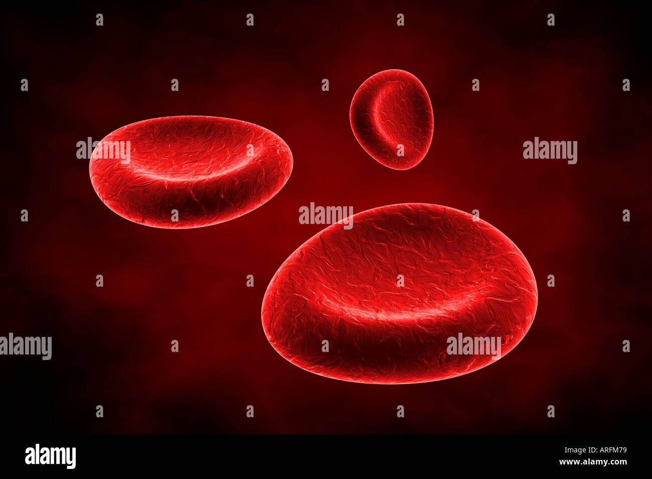 Red blood cells Stock Photo Alamy